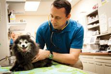 Dr. Evan Feinberg of Stevenson Village Veterinary Hospital says prevention is the key to pet health. (Justin Tsucalas)